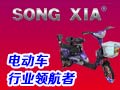 松下電動車