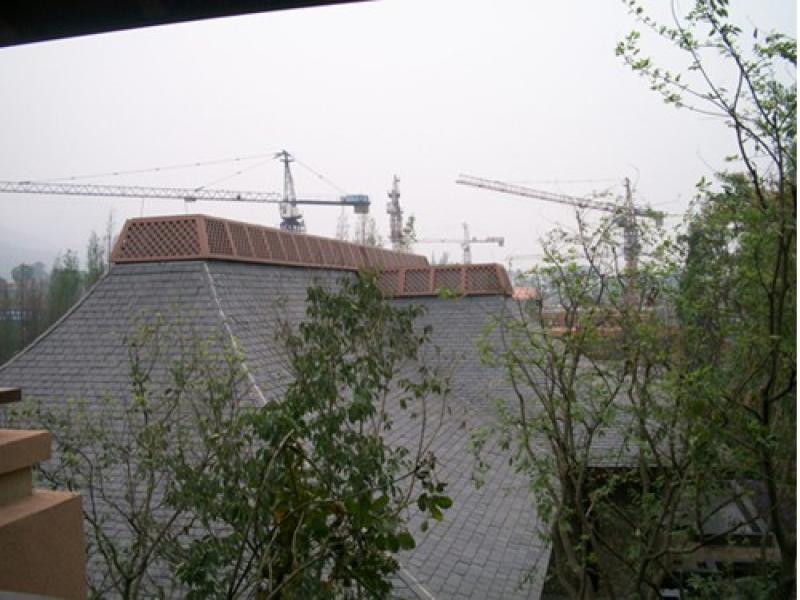 金馬印象生態(tài)木