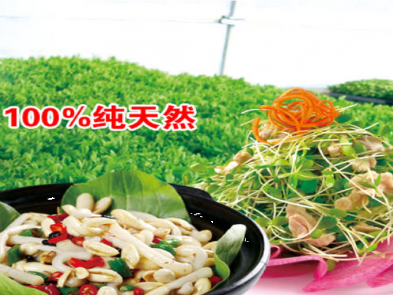 愛心農(nóng)場芽苗菜