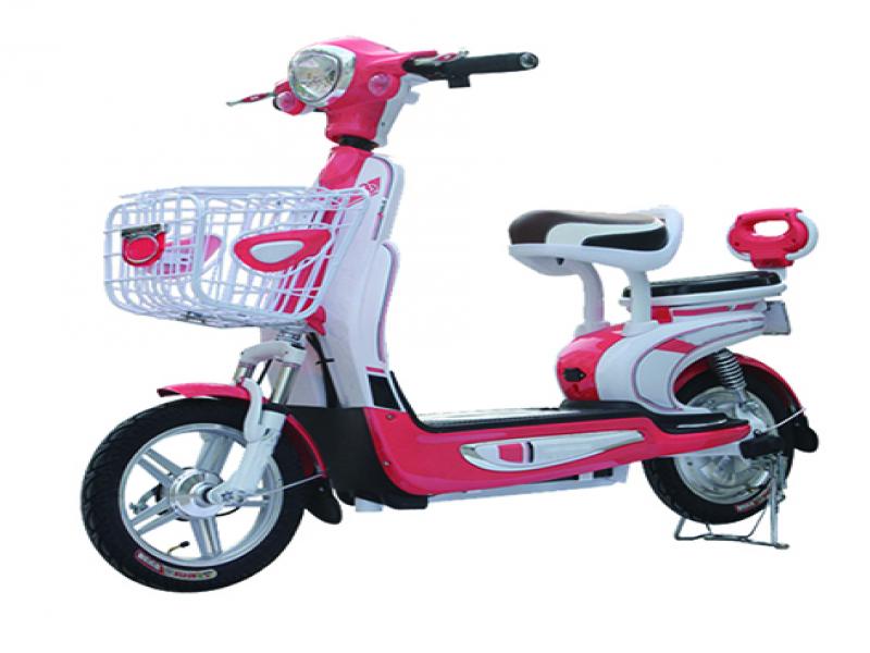 飄洋電動(dòng)車(chē)