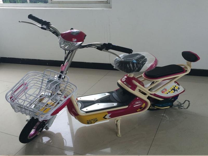 綠安騏電動車