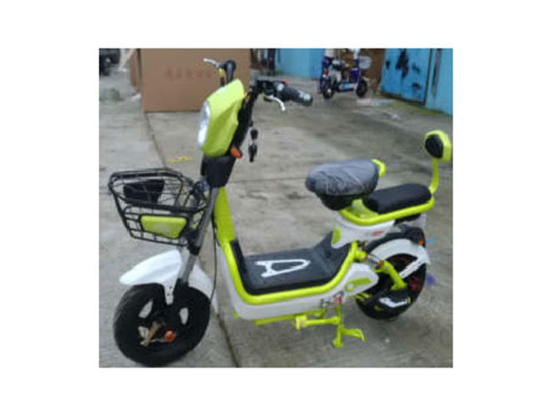 輝豹電動車