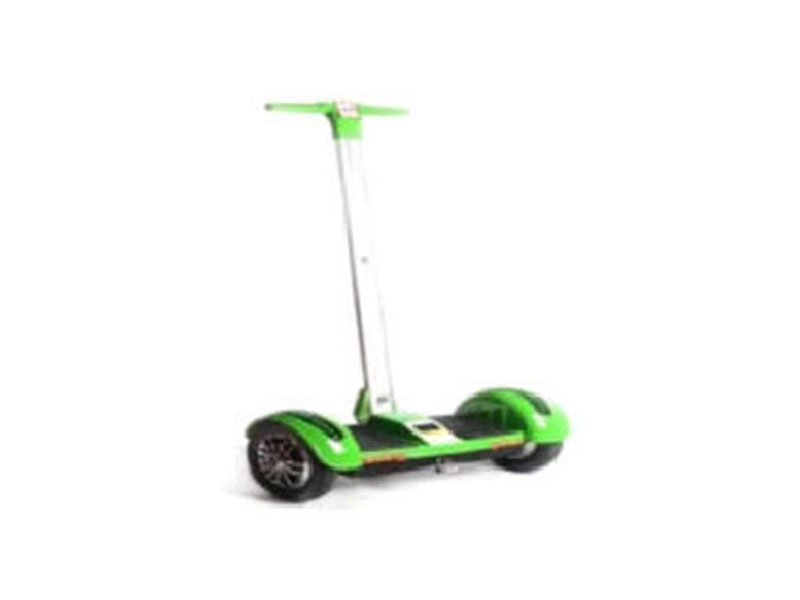 輝豹電動車