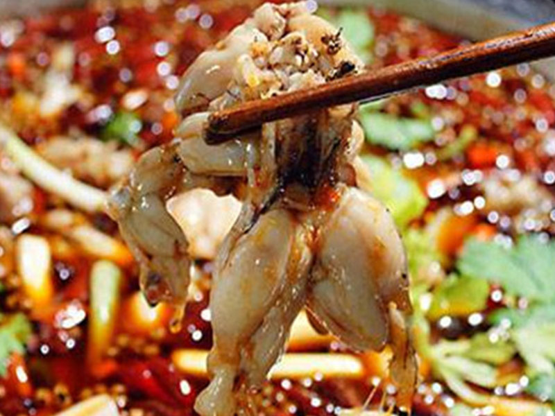 十八梯蛙隊(duì)長美蛙魚頭