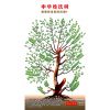 中華姓氏樹