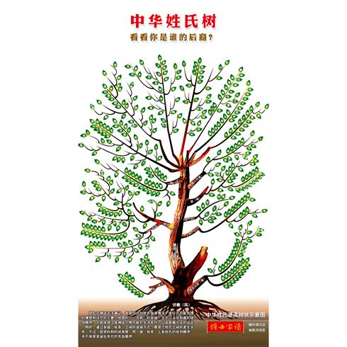中華姓氏樹