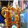 耍大牌魷魚(yú)