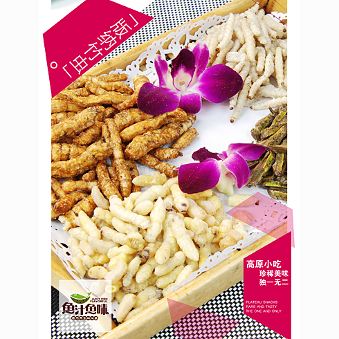 魚汁魚味養(yǎng)生魚火鍋店產品-版納竹蟲