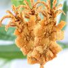 福扒扒復(fù)合式火山石烤魷魚(yú)