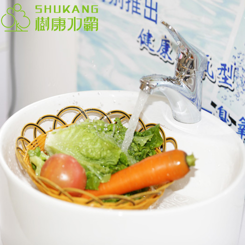 樹(shù)康水霸臭氧水消毒機(jī)產(chǎn)品-蔬菜臭氧水消毒機(jī)