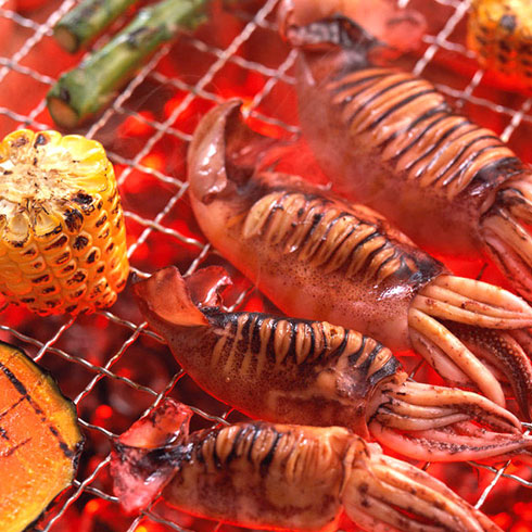 魷魚(yú)王子產(chǎn)品-火山石烤魷魚(yú)