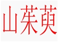山茱萸女裝