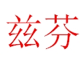 茲芬女裝