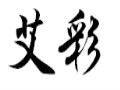 艾彩女裝