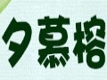 夕慕榕女裝